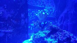 20180219_092200.jpg