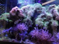 IMG_67261.jpg