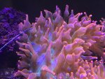 IMG_6856.jpg