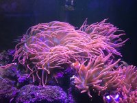 IMG_8961.jpg