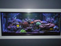 full tank shot 2.jpg