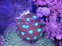 20181202_151355.jpg