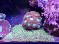 20181202_151336.jpg