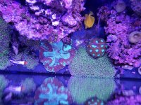 20181202_151449.jpg