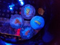 20180918_123334.jpg