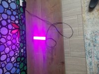 20180813_110204.jpeg