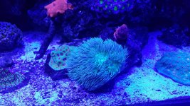 20181210_220027.jpg