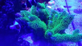 20181210_215949.jpg
