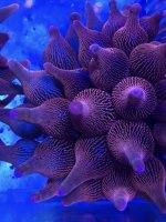 358D27A1-5C03-4B85-902F-0BB1A3CC8558.jpg