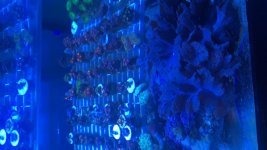 847B72AB-6247-4441-B7FE-5B5FC63B6ED9.jpg