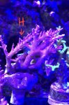 CEC98EBC-B002-47D8-88F8-BE0F8BDF2C42.jpg