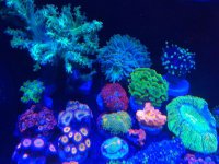 2018-12-11-20-21-54.jpg