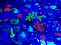 20180815_232702.jpg