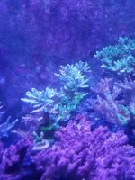 20180507_141042.jpg