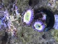 IMG_5597.jpg