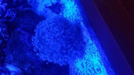 20190216_001059.jpg