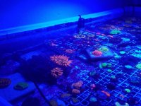 20180815_232931.jpg