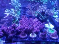 20180507_141032.jpg