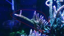 IMG_20190429_192812385_small.jpg