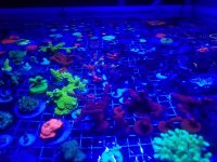 20180815_232602.jpg