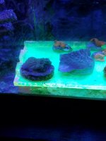 20180507_141055.jpg