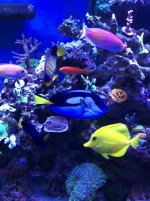 IMG_1308.jpg