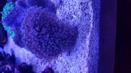 20190216_164011.jpg