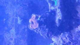20180816_150801.jpg