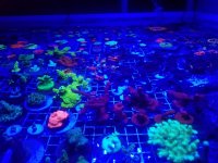 20180815_232605.jpg