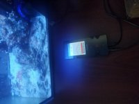 20190719_082818.jpg