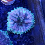 20180919_184725.jpg