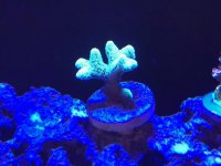 IMG_0252.JPEG