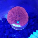 20180919_184850.jpg