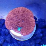 20180919_184731.jpg