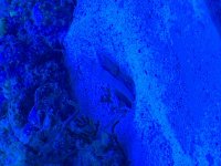 D4EF3F8E-336F-4968-81BA-66BA29FDFFF8.jpg