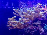 IMG_3575.jpg