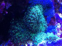 E8D70B3A-6050-408F-8809-0A9DD9CED9D9.jpg