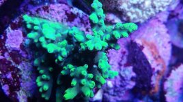 IMG_20181204_210157_819.jpg