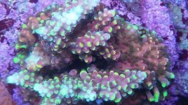 IMG_20181204_210142_954.jpg