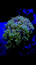 26D95110-F566-40CE-9384-7292DFC21002.jpg