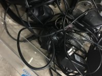 A5F98AC3-AD10-4F5E-91D2-5D9B35E04F68.jpg