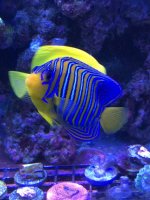 IMG_3976.jpg