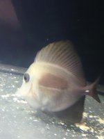 IMG_20180921_064159.jpg