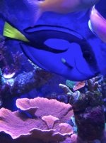 IMG_3977.jpg