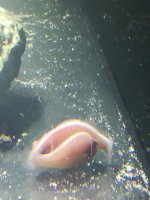IMG_20180921_064234.jpg