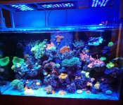 IMG_20190502_094643.jpg