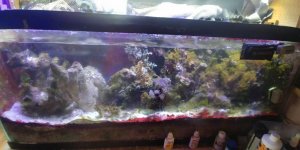 20190717_160114.jpg