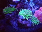 IMG_20181212_210459.jpg