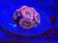 IMG_5992.jpg