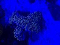 46A62D53-57C1-43A6-8C46-5B07CEE390F5.jpg